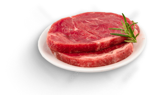 Product Presentation